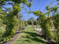 Недвижимость Property Cannes: 20