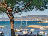 Недвижимость Villa Cannes: 3