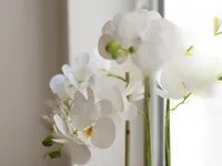 Недвижимость Old Church Street: 13