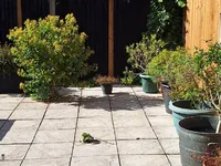 Недвижимость Blake Close: 8