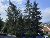 Недвижимость Четырехкомнатная квартира Воло.: 12