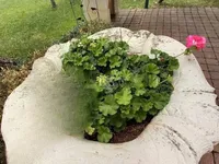 Недвижимость Семейный дом Ика, Опатия: 59