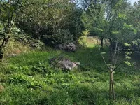 Недвижимость Семейный Дом Вепринац, Опатия: 32
