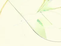 Недвижимость Apartment 2 bedrooms for sale in Bertrange: 2