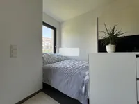 Недвижимость Studio for sale in Luxembourg-Merl: 7