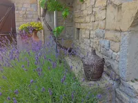 Недвижимость Дом, Тополовец: 11