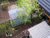 Недвижимость Дом, Любляна, Шишка: 3