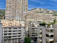 Недвижимость Apartment Monaco, La Rousse: 6