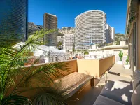 Недвижимость Apartment Monaco, La Rousse: 12