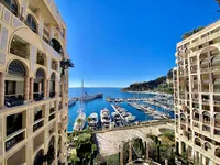 Недвижимость Apartment Monaco, Fontvieille: 1