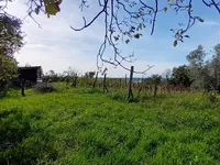 Недвижимость Усадьба 'Сеча' с видом на Сечовельскую бухту: 2