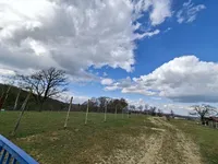 Недвижимость Усадьба, фермерское хозяйство Куршинцы: 3