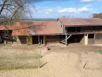 Недвижимость Усадьба, фермерское хозяйство Куршинцы: 8