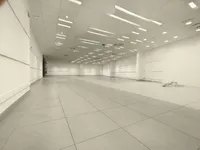 Недвижимость Комбинированное офисное помещение в Старой Любляне: 4