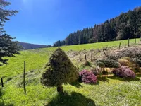 Недвижимость House 5 bedrooms for sale in Schoenfels: 5