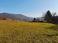 Недвижимость Дом, Орешье-на-Бизельском: 22