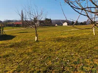 Недвижимость Дом, Орешье-на-Бизельском: 23