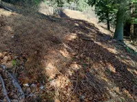 Недвижимость Сельскохозяйственный участок Сподне Горье: 2