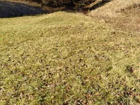 Недвижимость Сельскохозяйственный участок Сподне Горье: 3