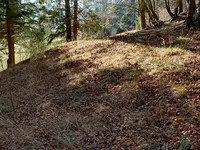 Недвижимость Сельскохозяйственный участок Сподне Горье: 4