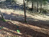 Недвижимость Сельскохозяйственный участок Сподне Горье: 5