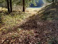 Недвижимость Сельскохозяйственный участок Сподне Горье: 8