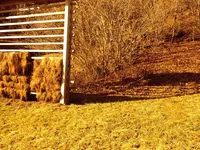 Недвижимость Сельскохозяйственный участок Сподне Горье: 9