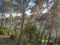 Недвижимость Villa La Bocca Nord: 3