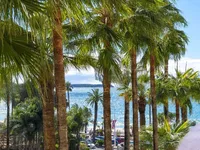 Недвижимость Villa Centre-ville Cannes: 17