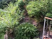 Недвижимость Villa Cannes Californie: 16