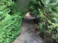 Недвижимость Villa Cannes Californie: 18