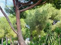 Недвижимость Villa Cannes Suquet: 6