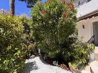 Недвижимость Villa Cannes: 22