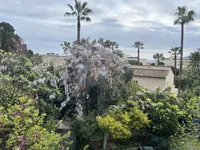 Недвижимость Villa Cannes: 7