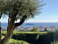 Недвижимость Villa Cannes: 1