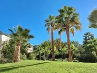 Недвижимость House Cannes Californie: 2