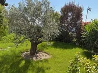 Недвижимость House Cannes: 13