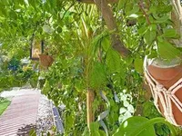 Недвижимость Villa Cannes: 6