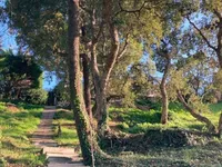 Недвижимость Villa Cannes: 4