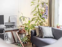 Недвижимость Jeffreys Road, Clapham: 21