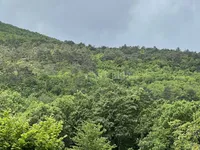 Недвижимость Семейный дом Мала Учка, Опатия: 10