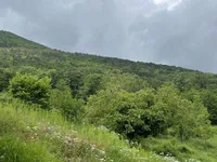Недвижимость Семейный дом Мала Учка, Опатия: 12