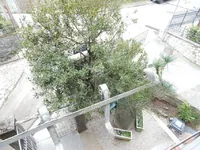 Недвижимость Трехкомнатная квартира в Центре: 12
