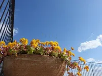 Недвижимость Четырехкомнатная квартира  
: 3