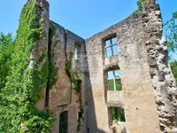 Недвижимость Castle for sale in Septfontaines: 3