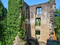 Недвижимость Castle for sale in Septfontaines: 6