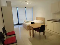 Недвижимость Studio for sale in Esch-sur-Alzette: 1