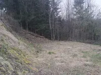 Недвижимость Участок, ЗаседливаяНово ЯВОР.: 5