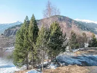Недвижимость Apartment for sale in Soldeu, 1 bedroom: 12