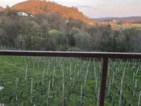 Недвижимость Дом, Древеник: 19